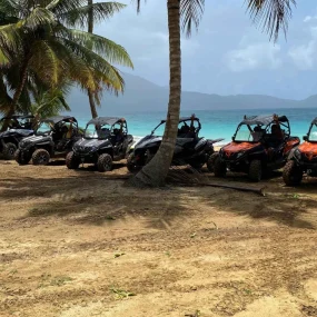 samana-4hrs-buggy-tour-with-transportation-included-2561118